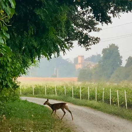 La Corte Vicino Maranello Montale (Emilia-Romagna)