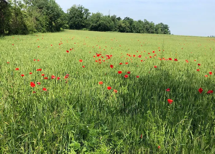 La Corte Vicino Maranello Guest house