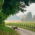 La Corte Vicino Maranello Montale (Emilia-Romagna)