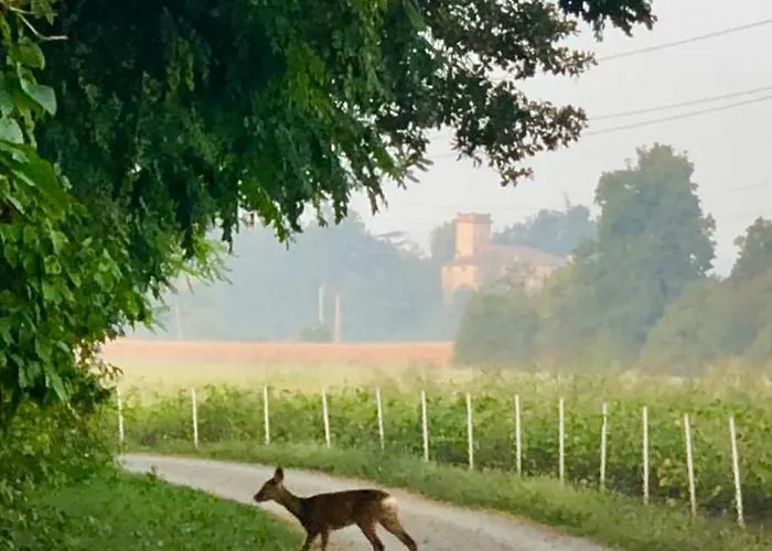 La Corte Vicino Maranello Montale (Emilia-Romagna)
