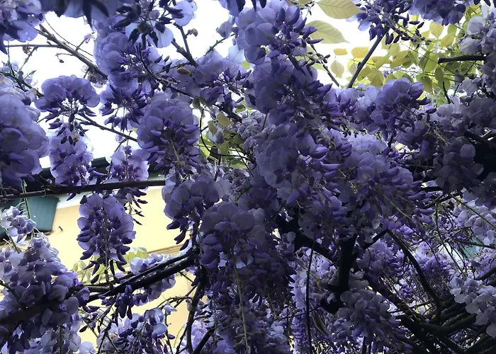 게스트하우스 La Corte Vicino Maranello *